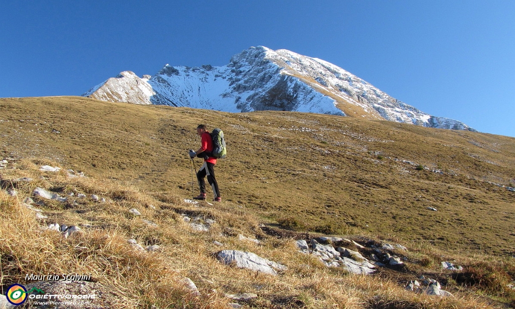 04 Verso la Capanna 2000, ecco l'Arera....JPG